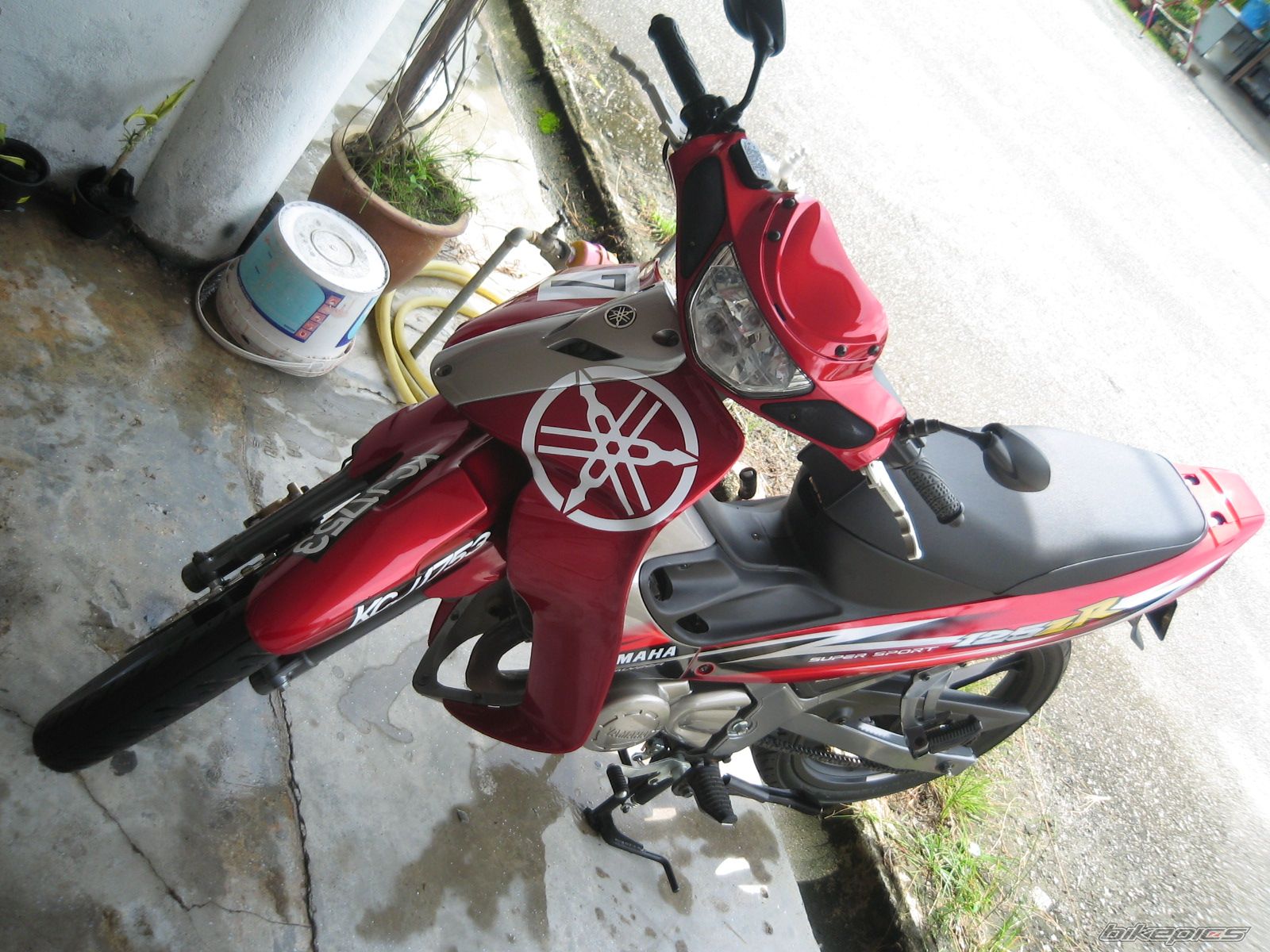 Photo 1511649