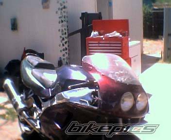 Photo 151165