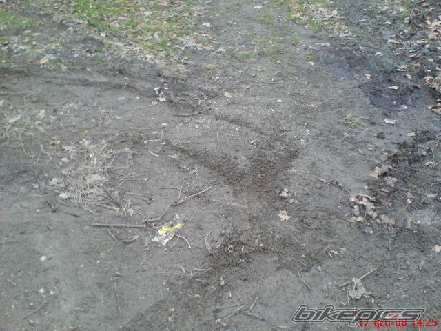 Bike Photo 1511706