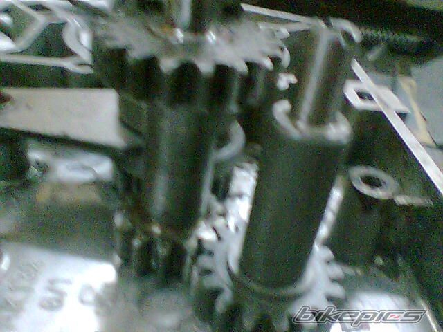 Photo 1511776