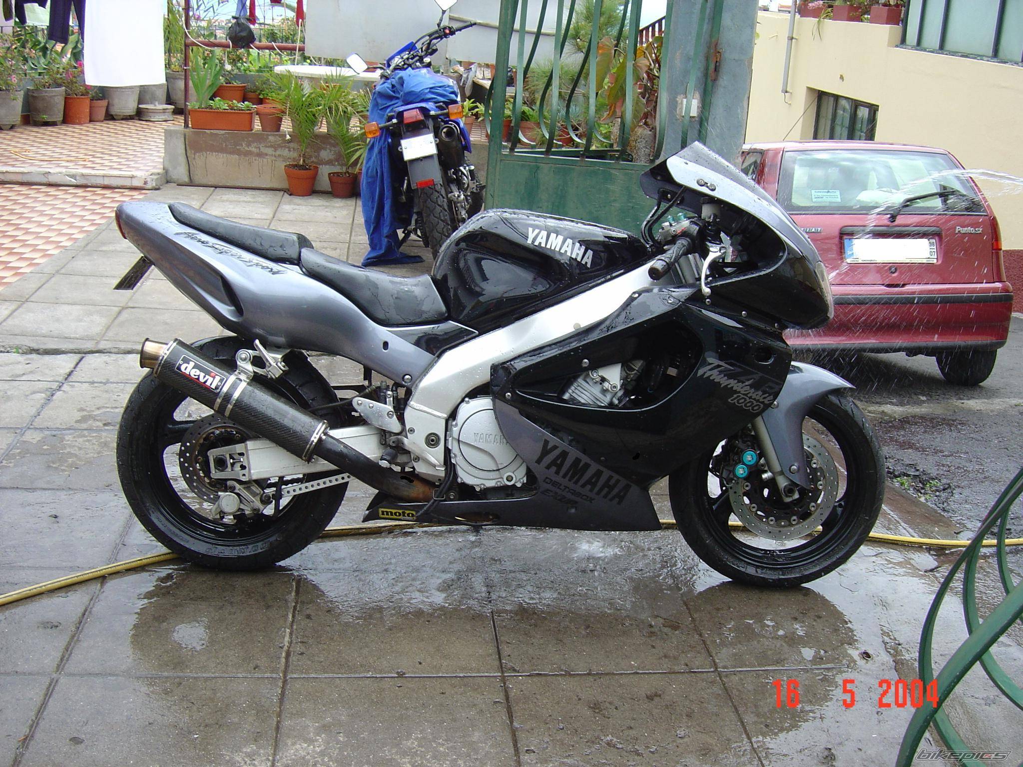 Photo 151191