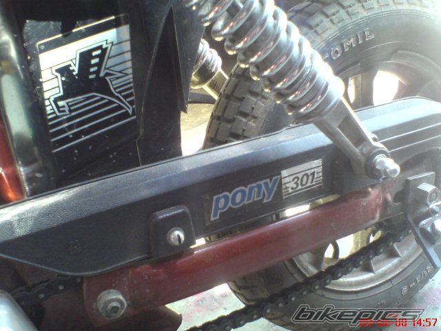 Photo 1511978