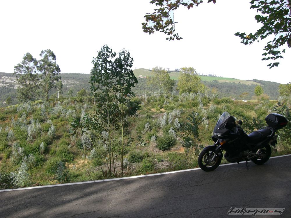 Bike Photo 1512024