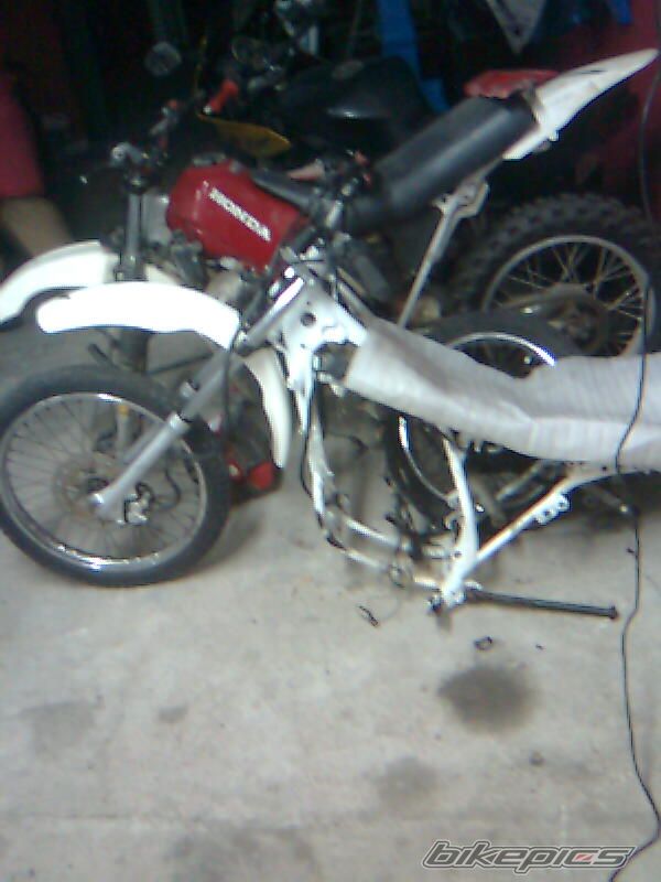 Photo 1512155
