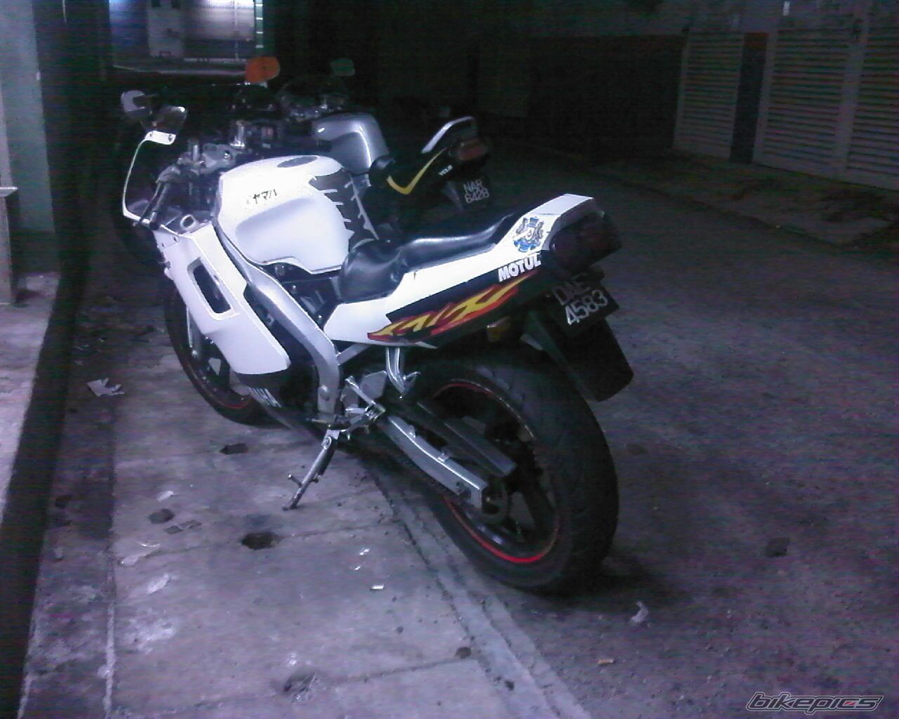 Photo 1512282