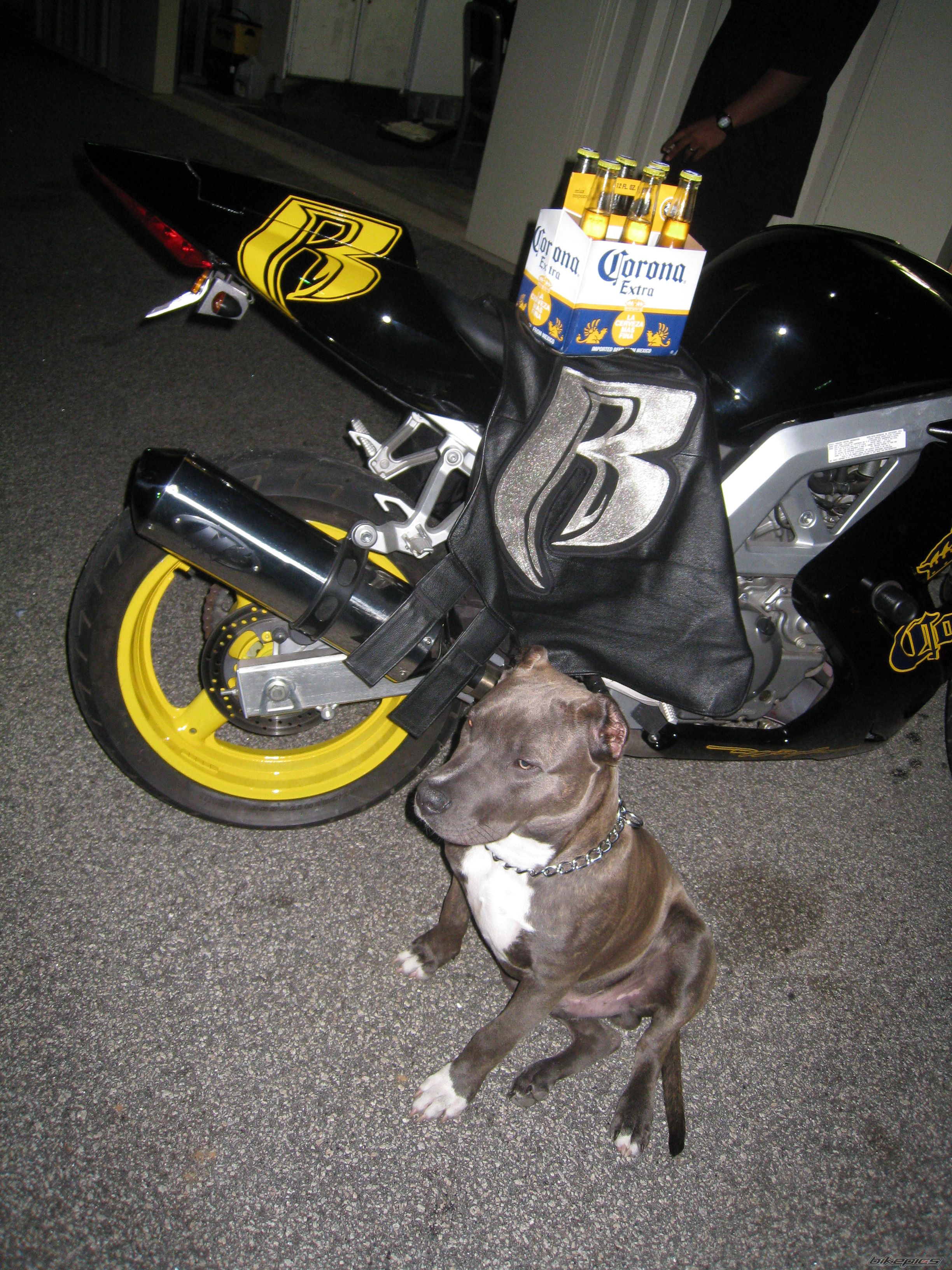 Photo 1512362