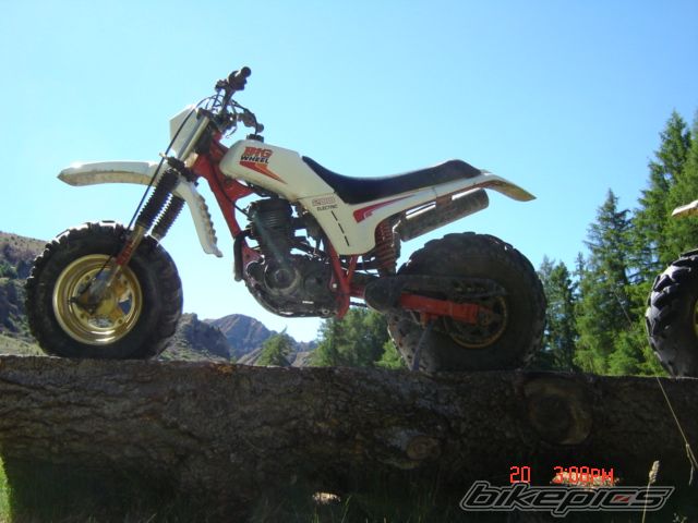 Photo 1512388