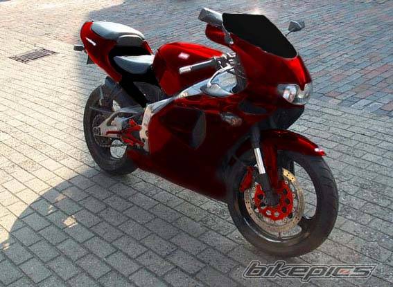 Photo 151262