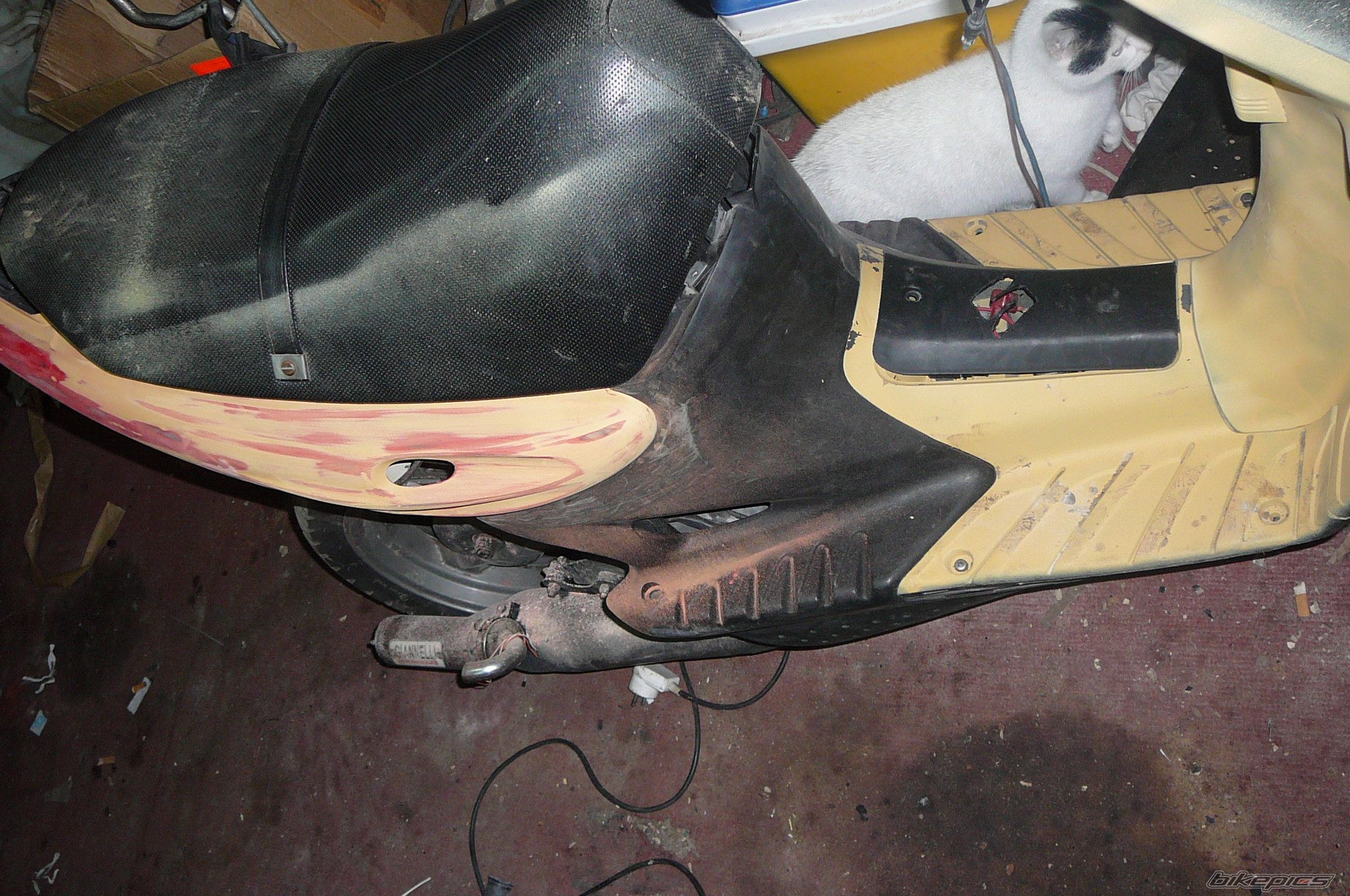 Photo 1512709