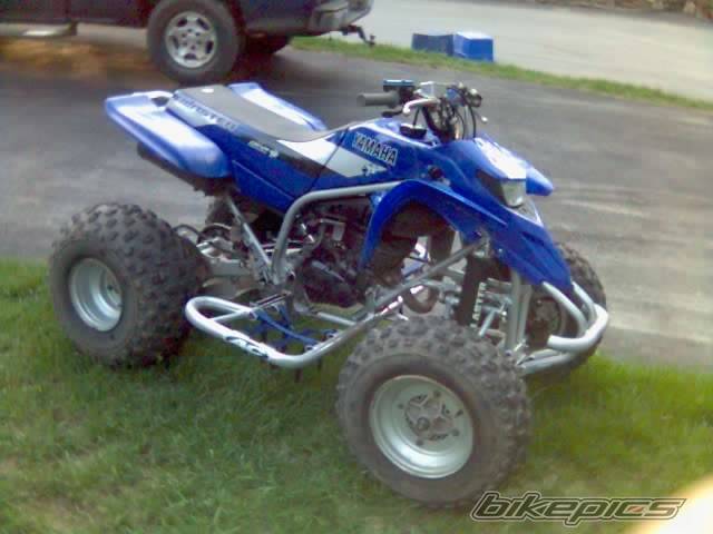 Photo 151273