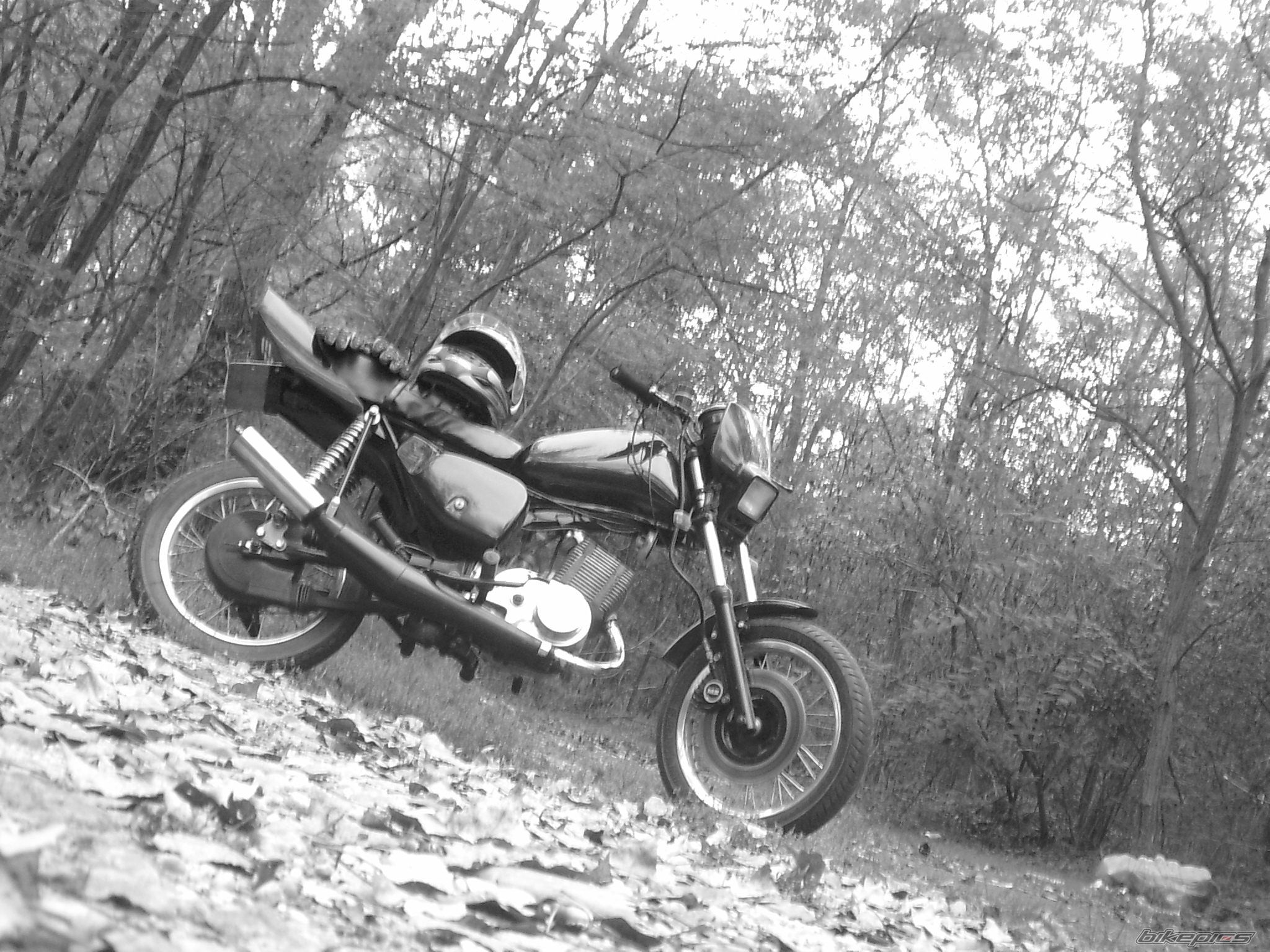 Photo 1512764