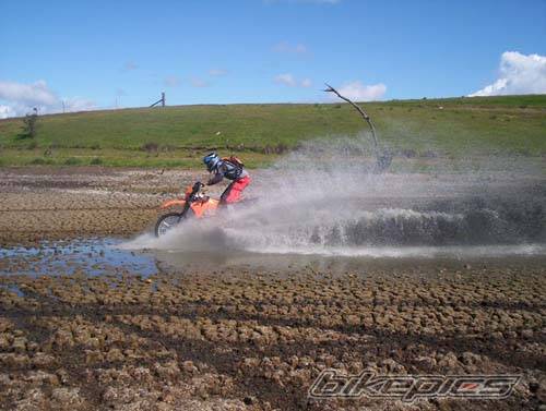 Photo 151279