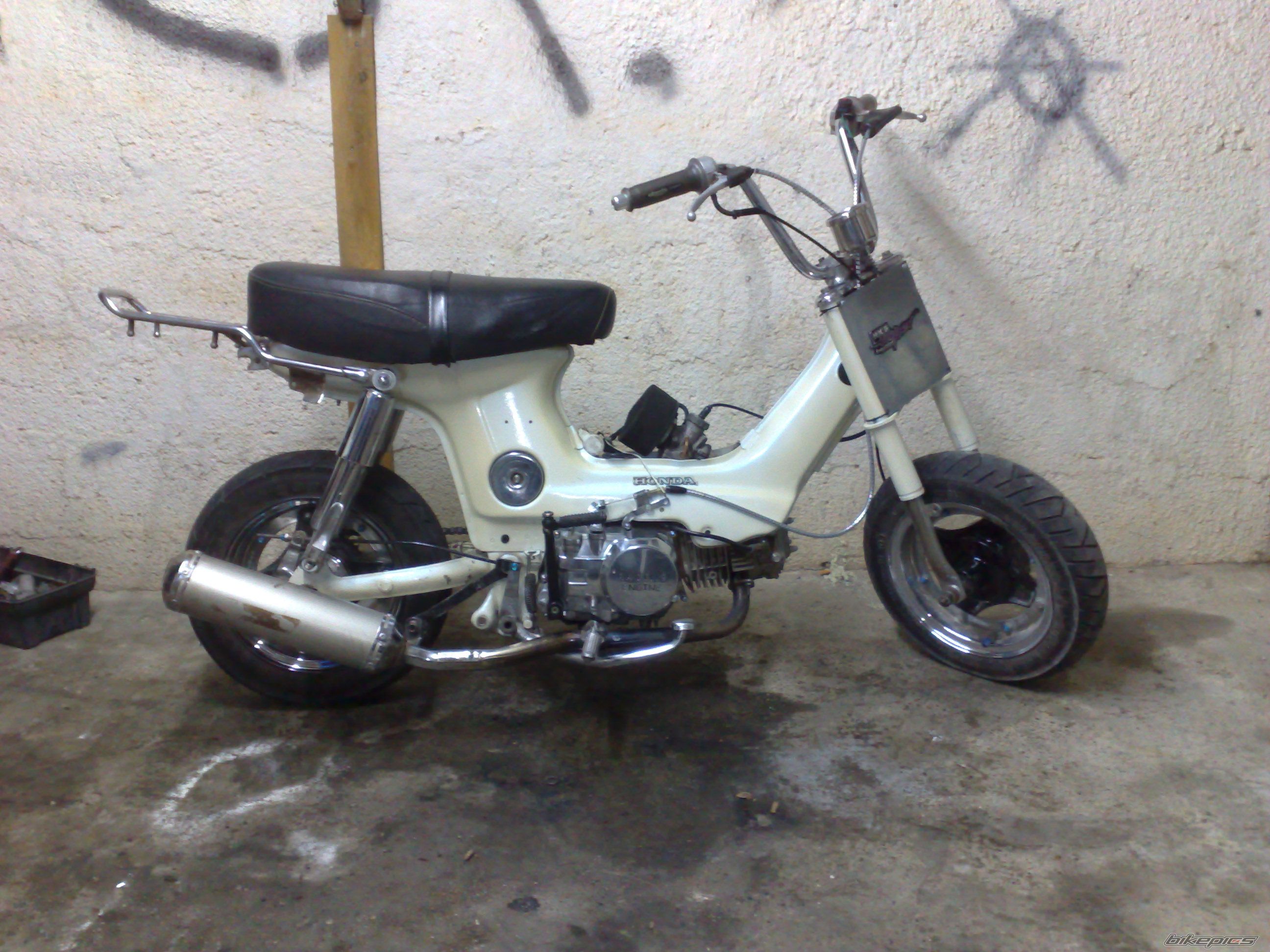 Photo 1512801