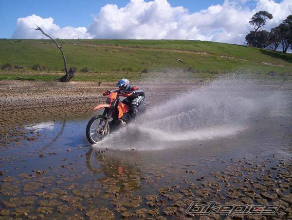 Photo 151285