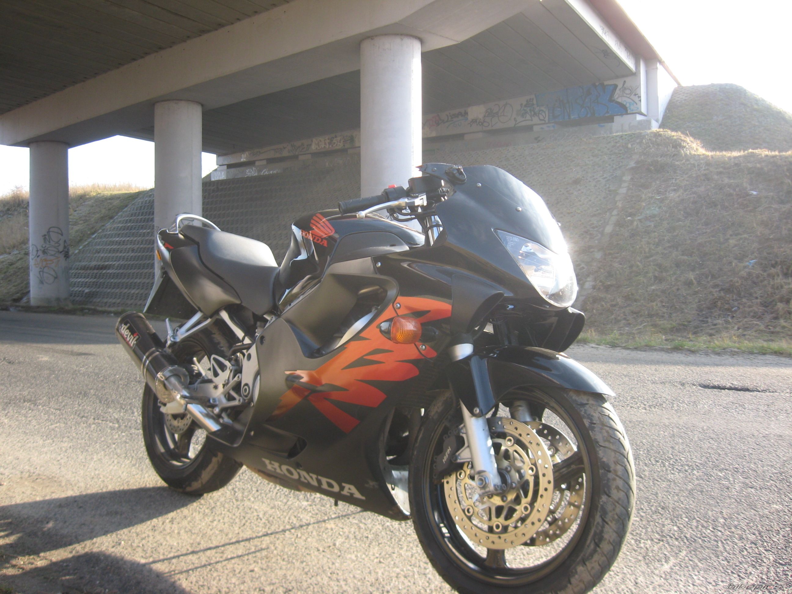 Photo 1512892