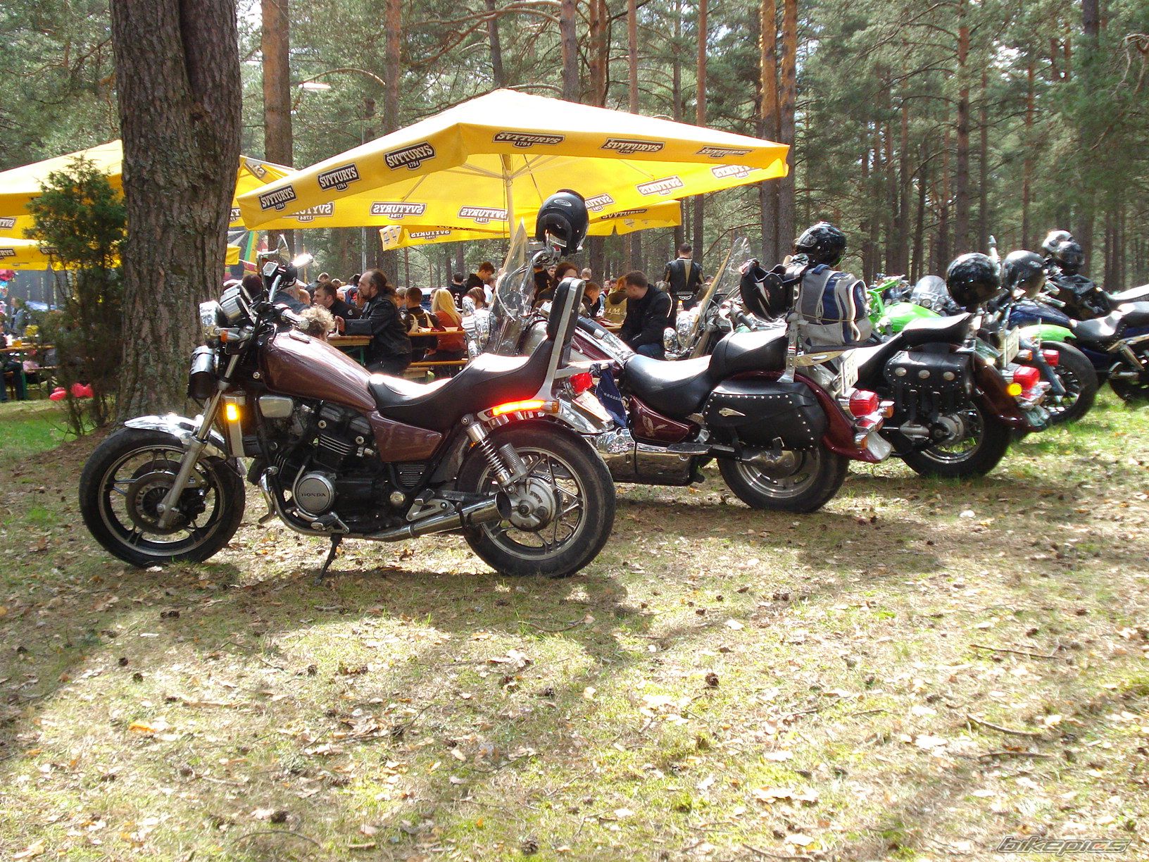 Photo 1512894