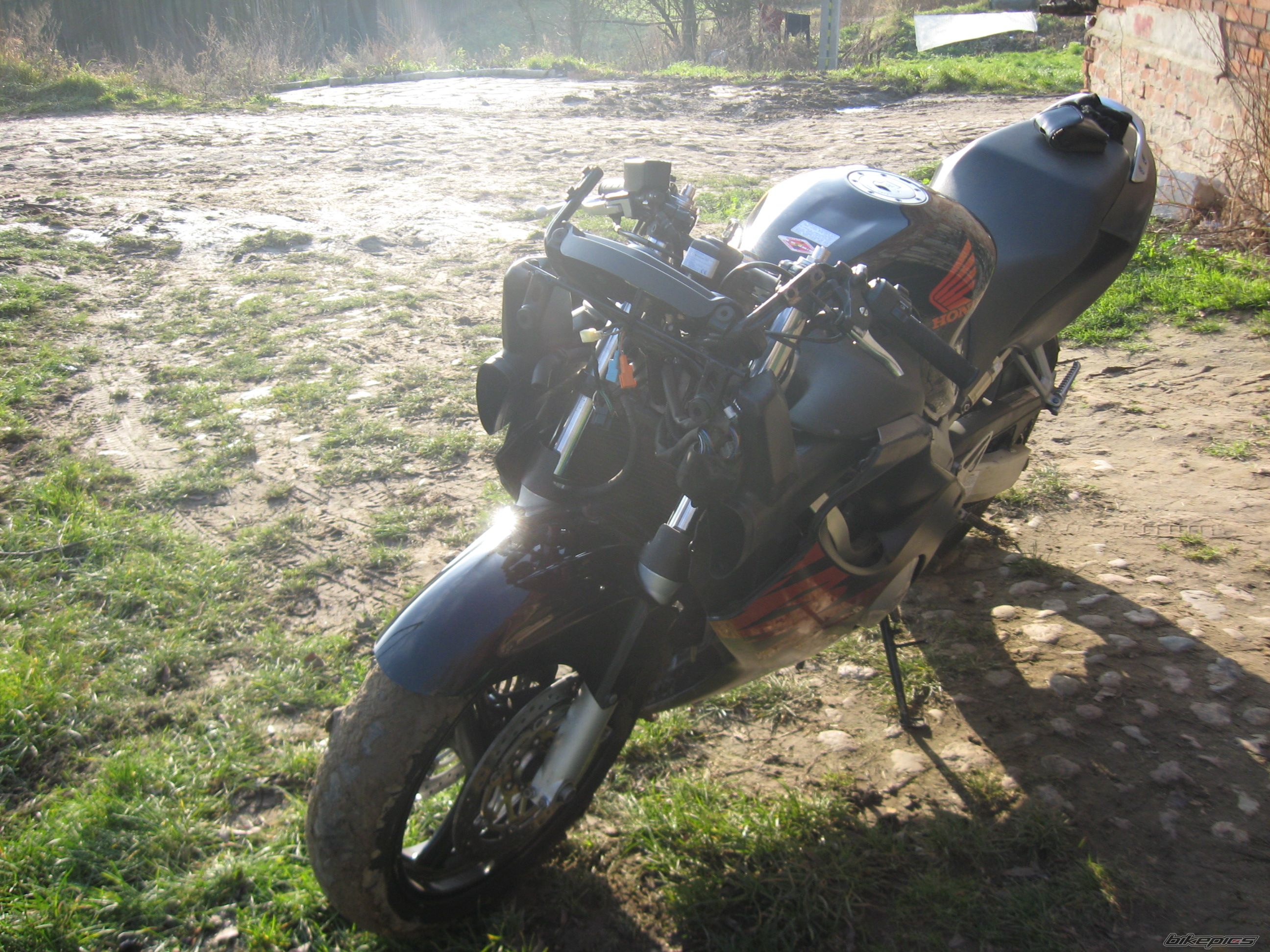 Photo 1512898