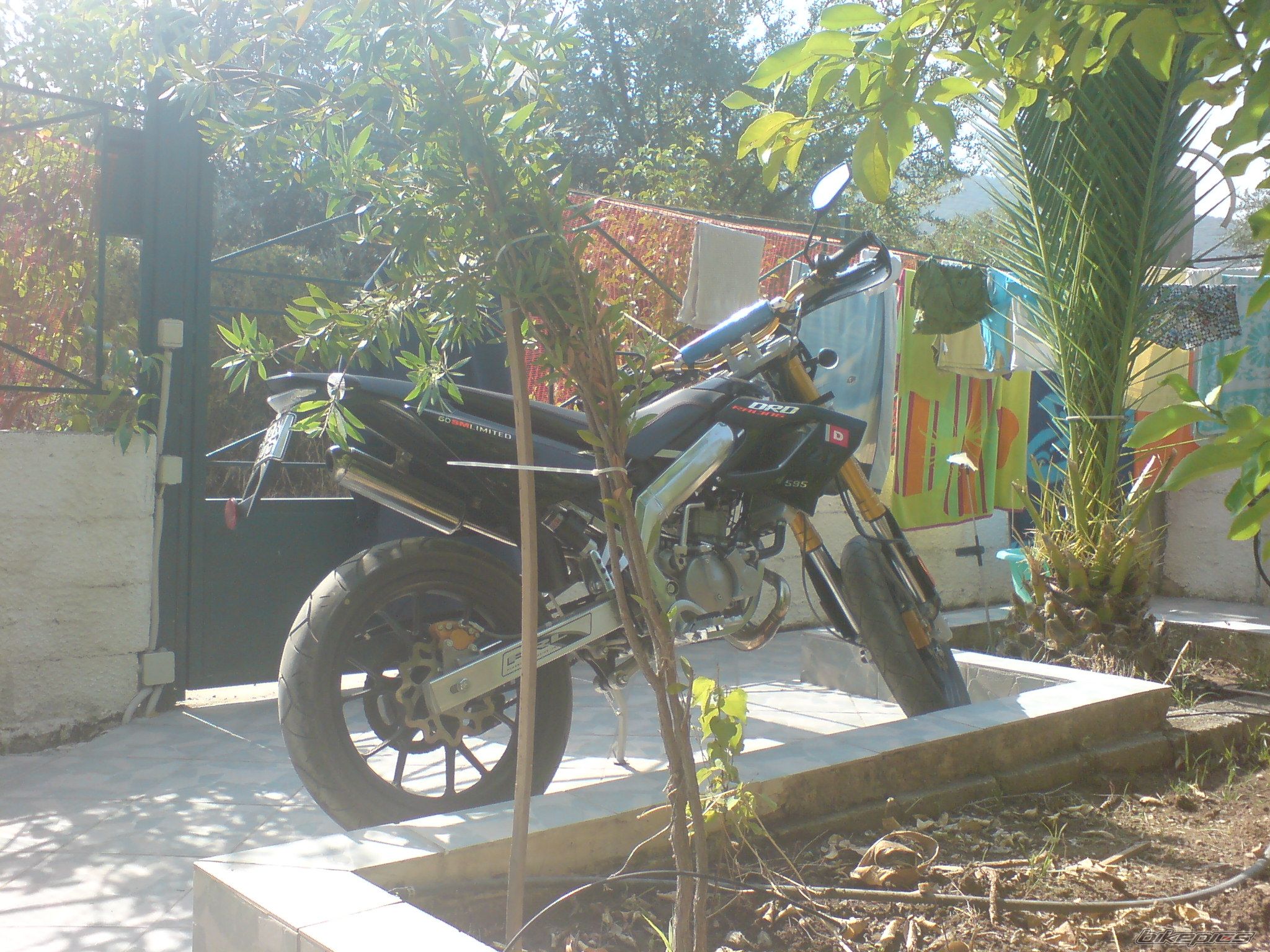 Photo 1512992