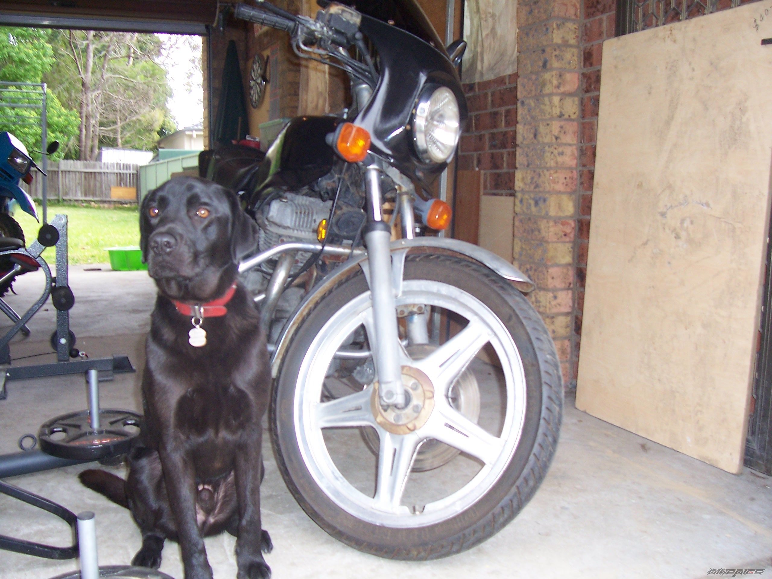 Bike Photo 1513127