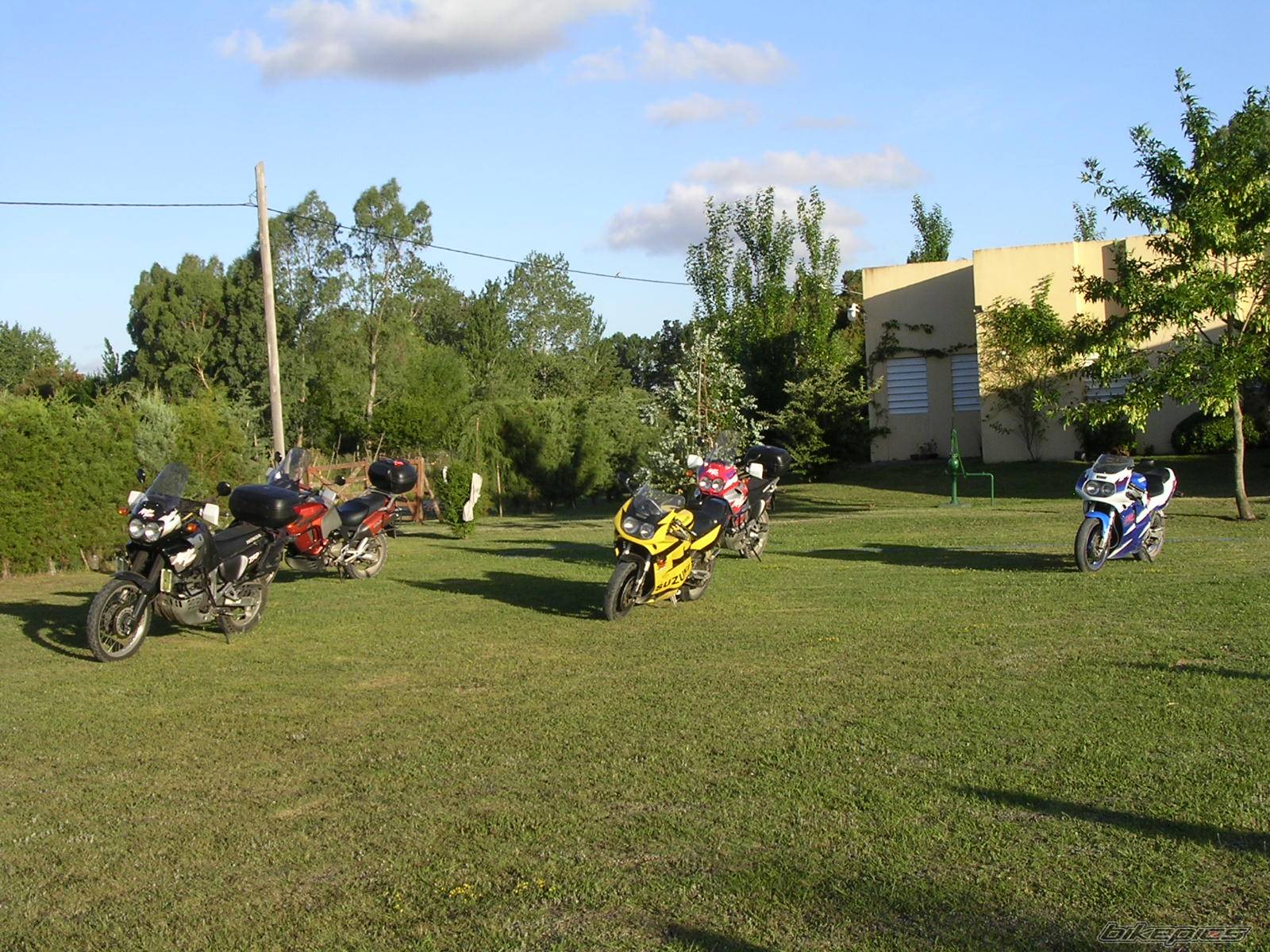 Photo 151320