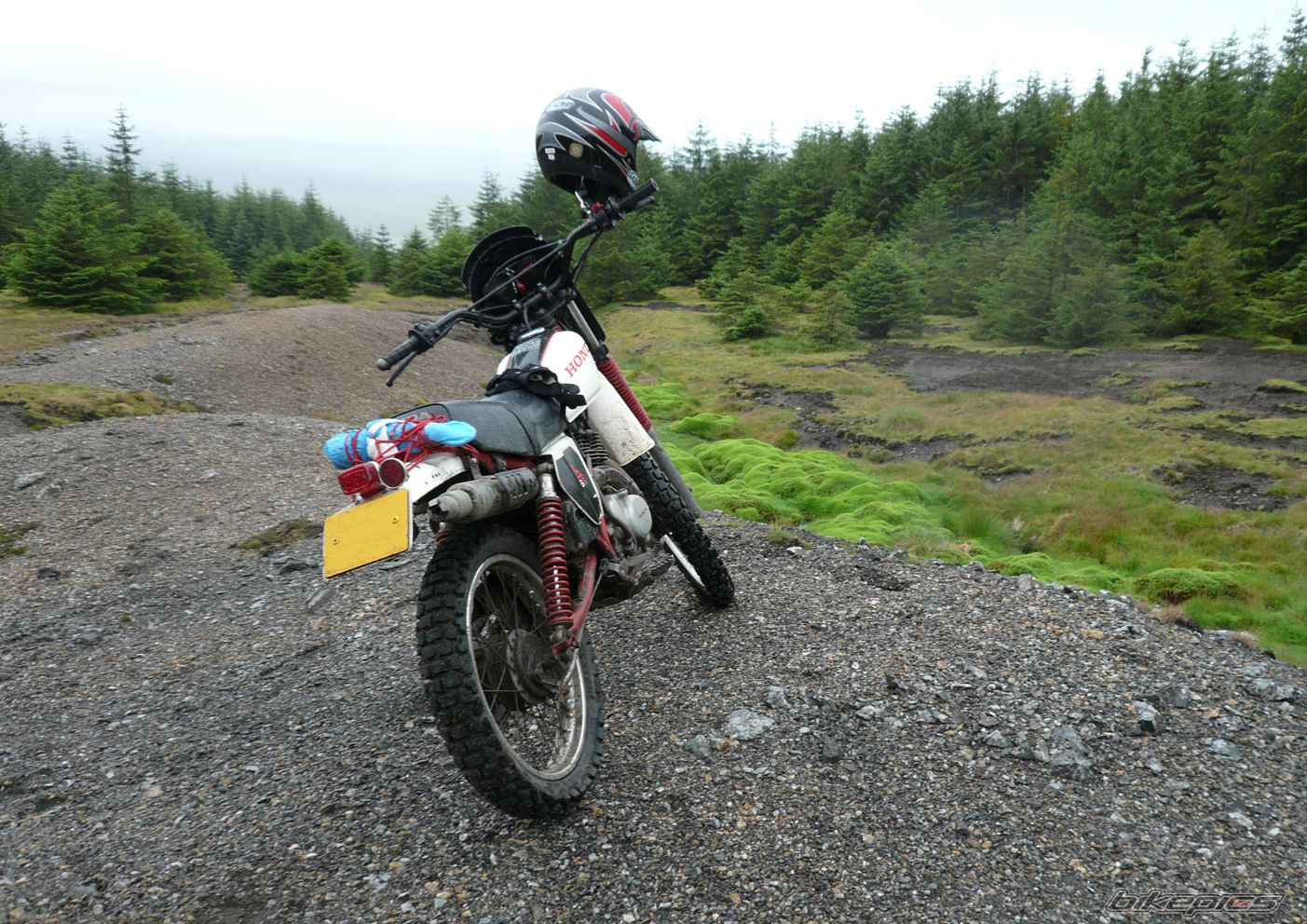 Photo 1513219