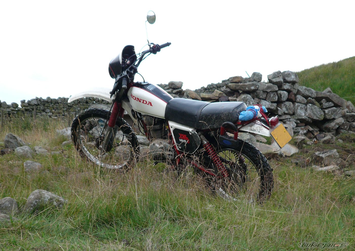 Photo 1513221