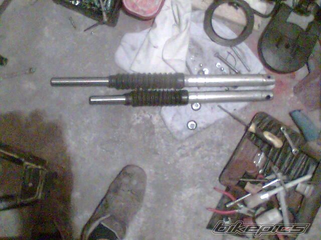 Photo 1513233