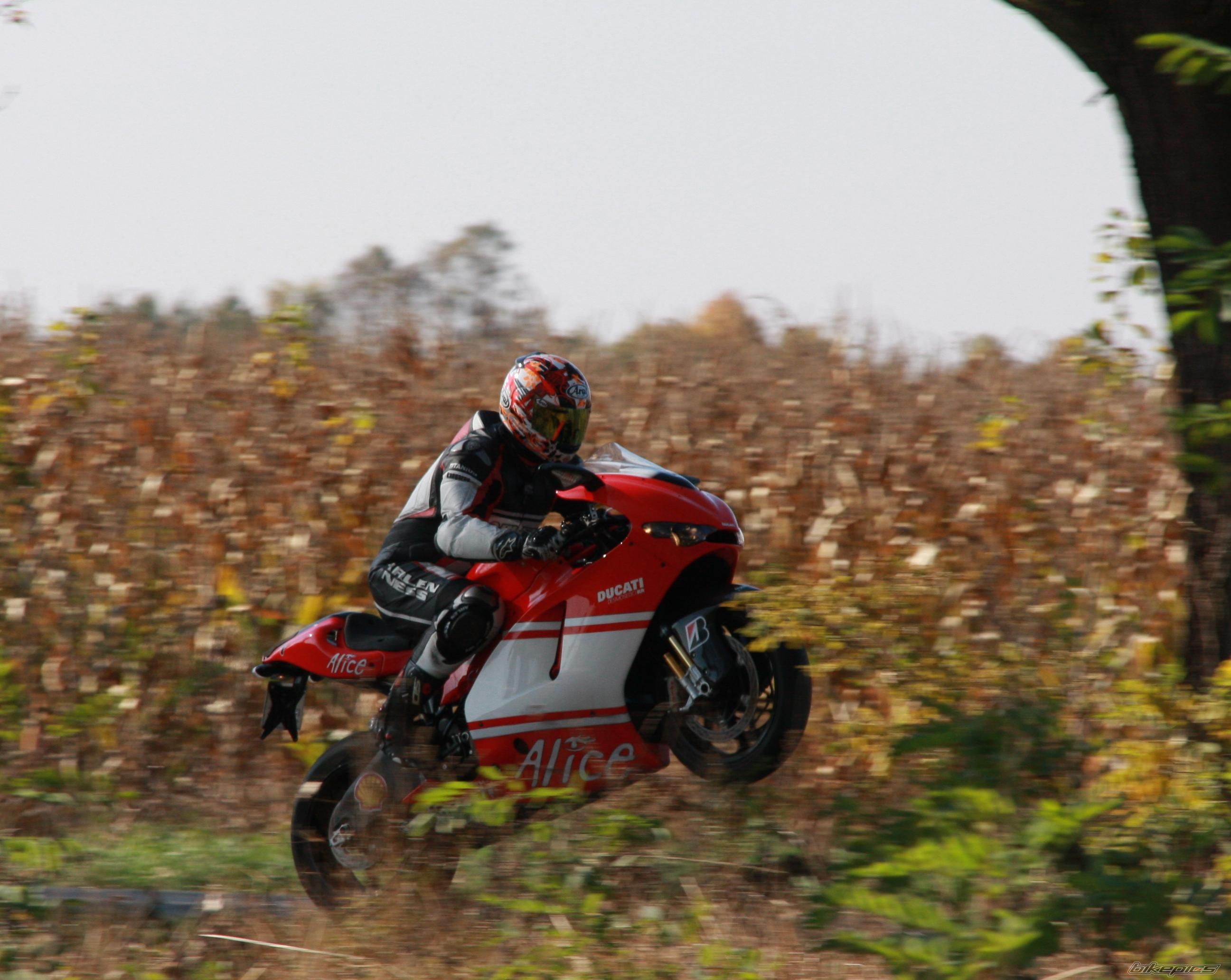 Photo 1513267