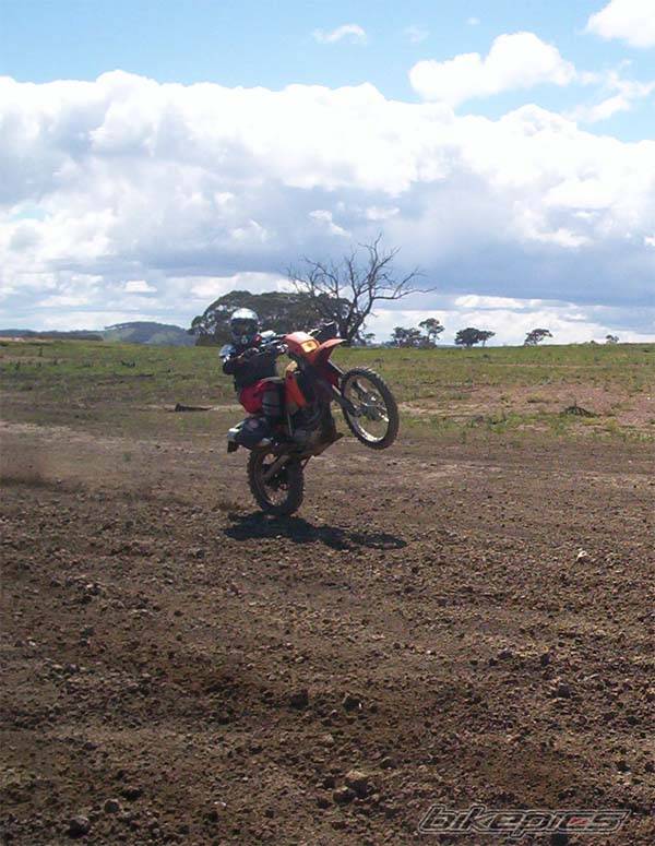 Photo 151329
