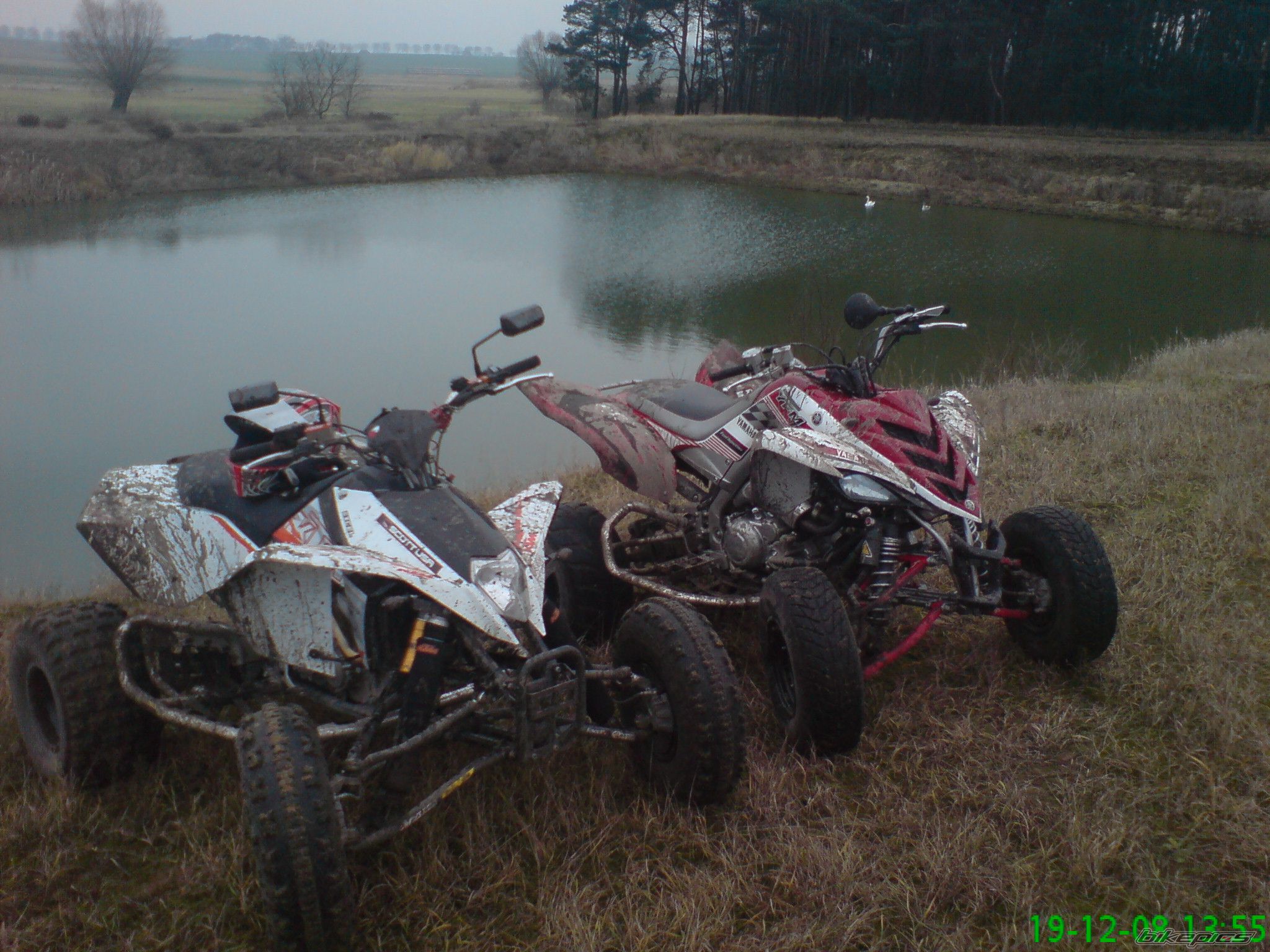 Photo 1513320