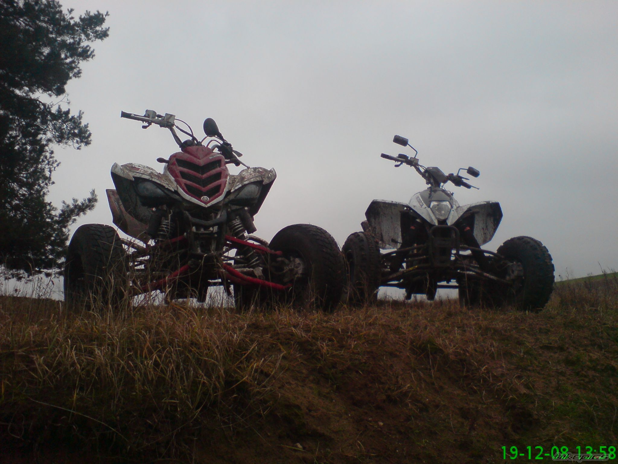 Photo 1513323