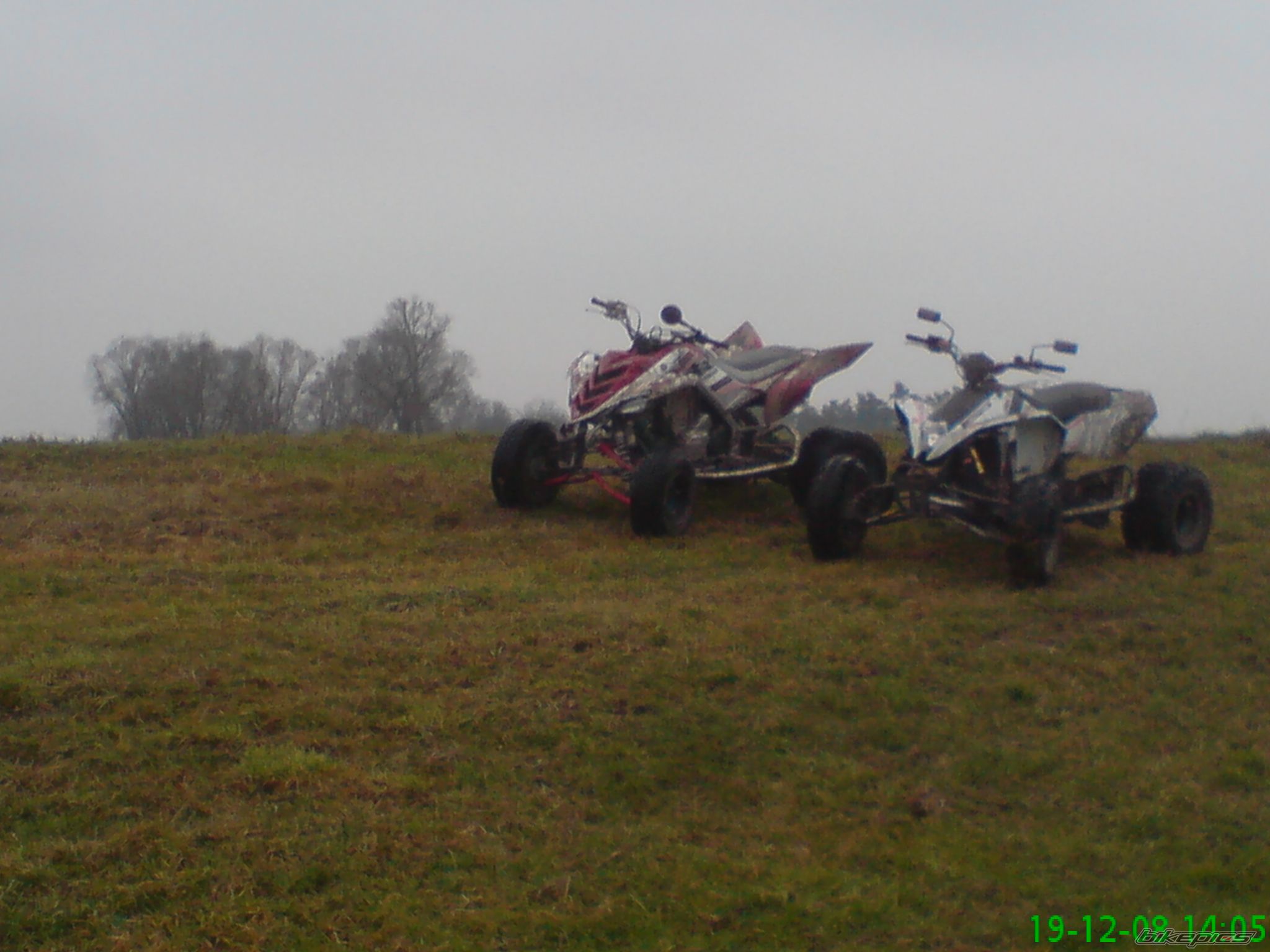 Photo 1513329