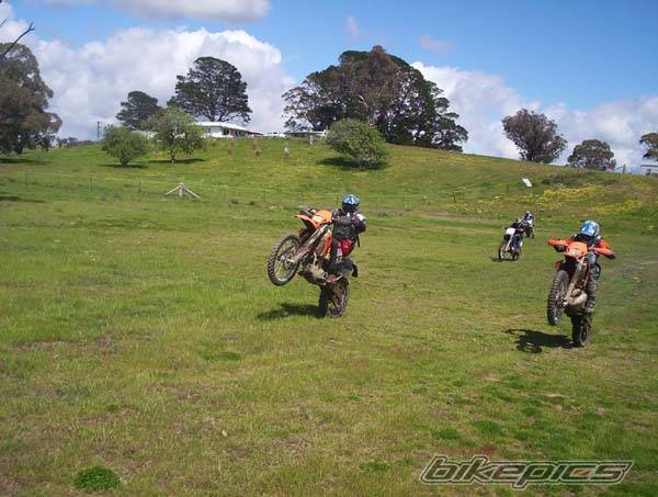 Photo 151333