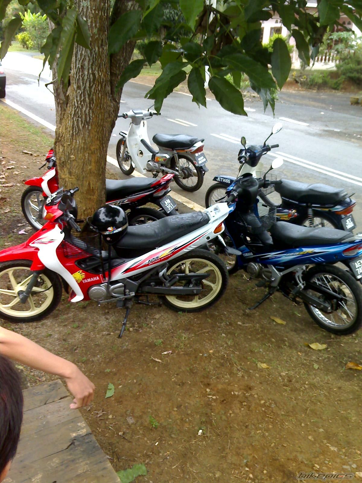 Photo 1513339