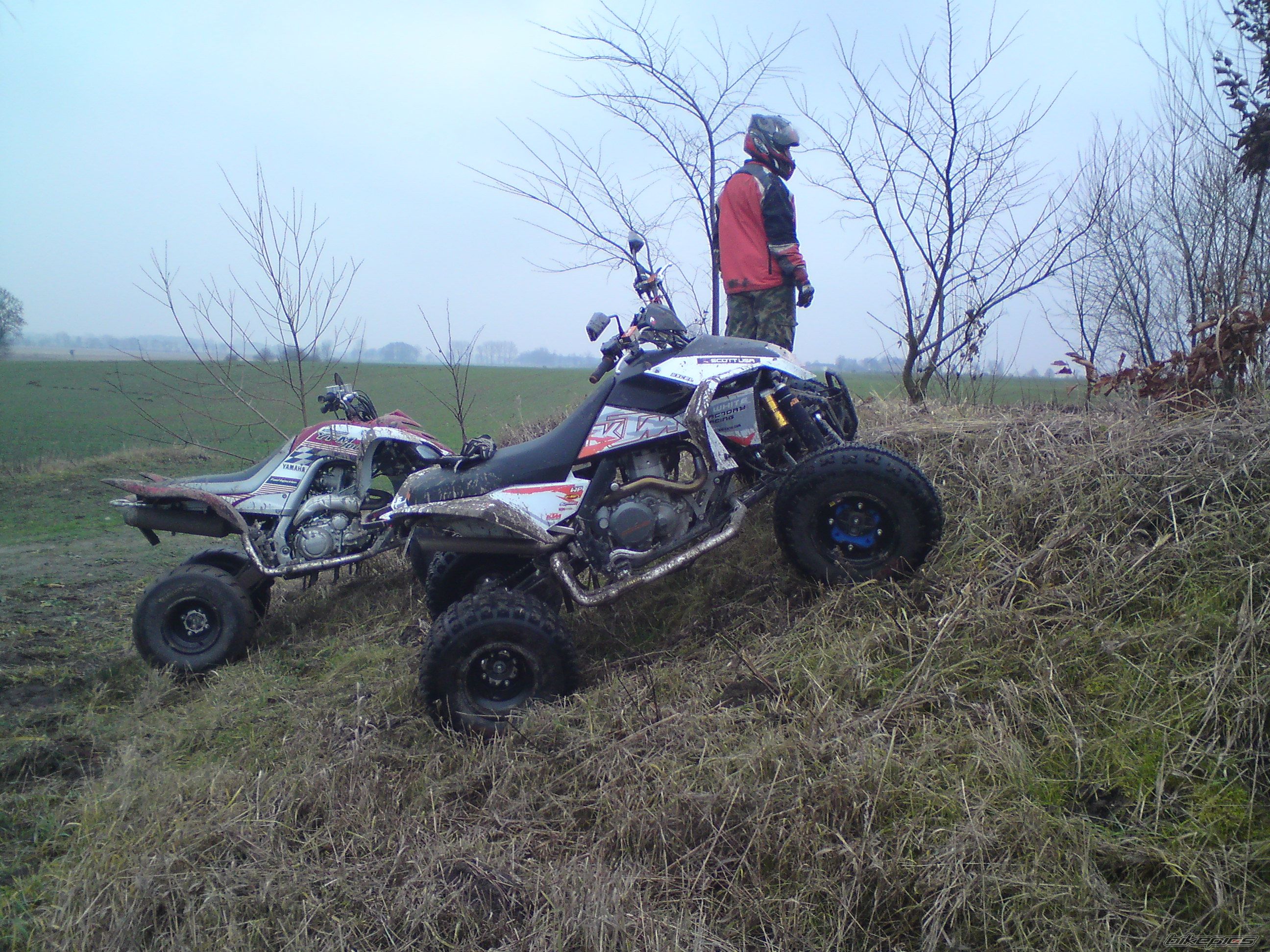 Photo 1513354