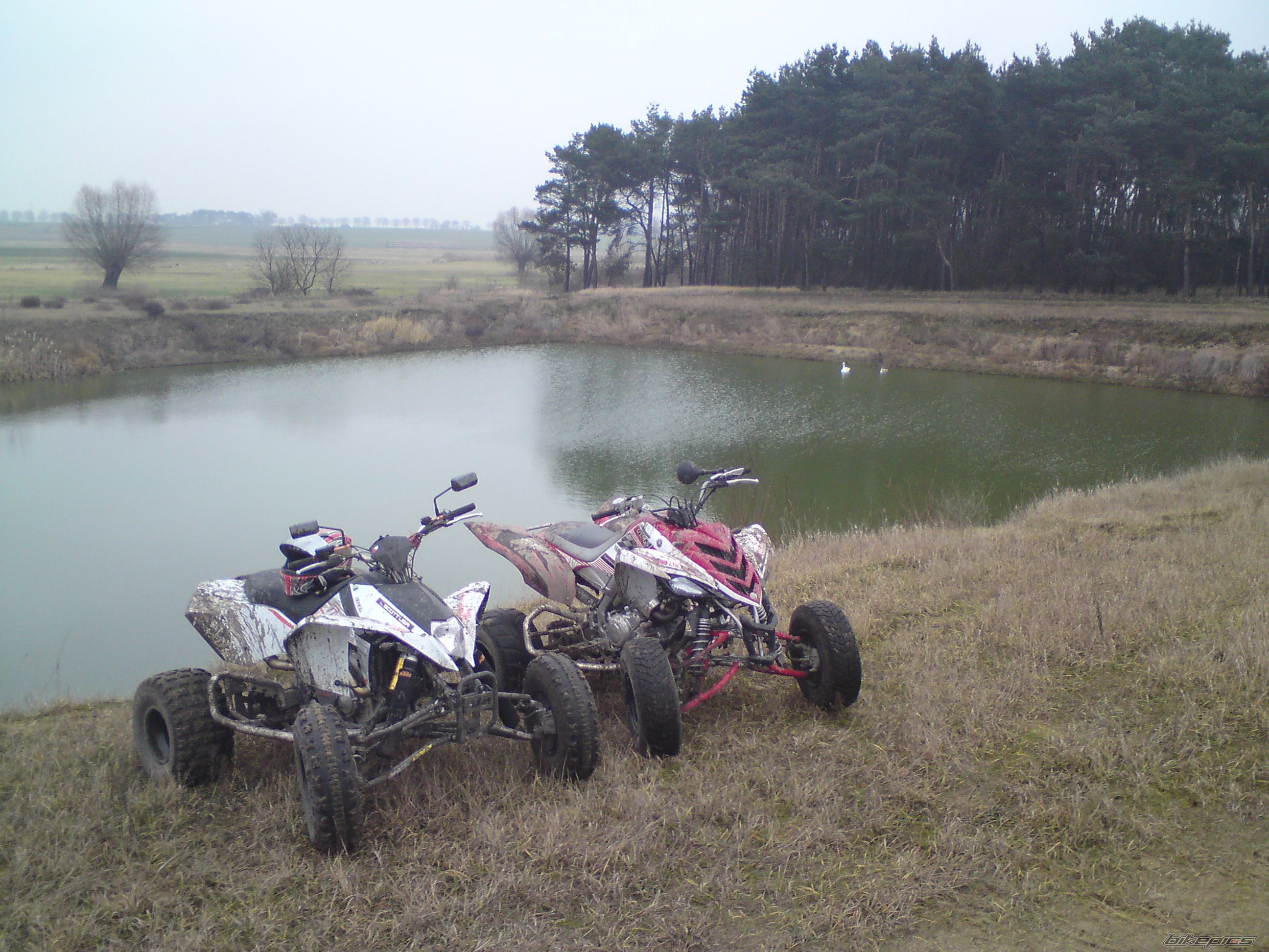 Photo 1513373