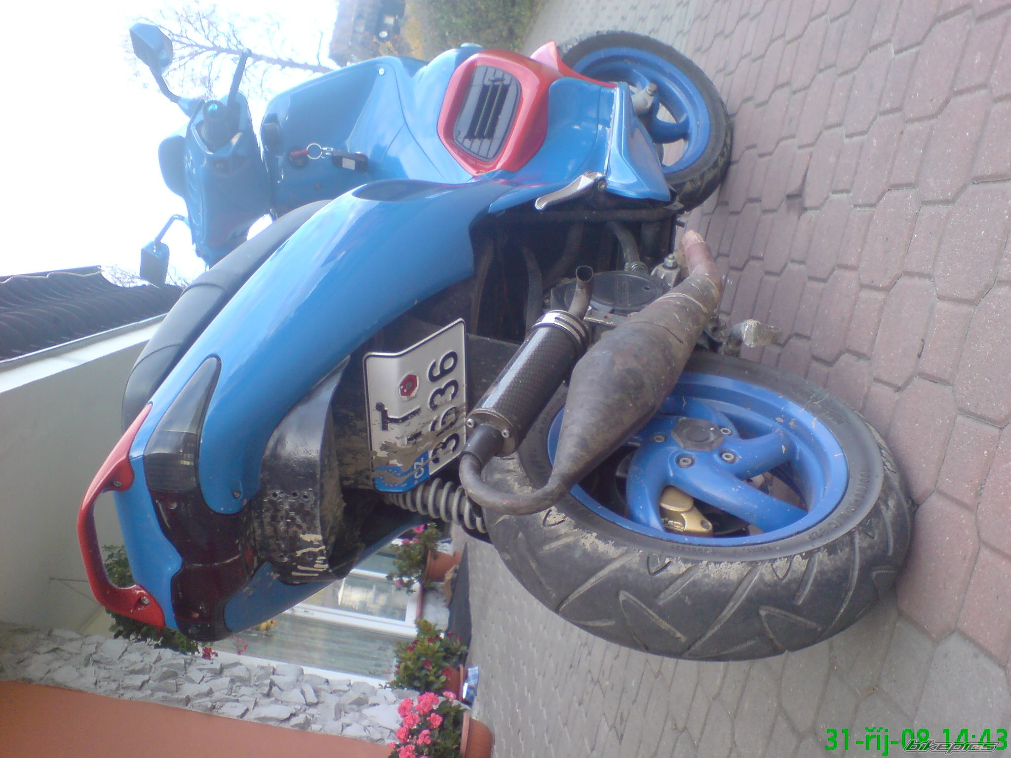 Photo 1513439