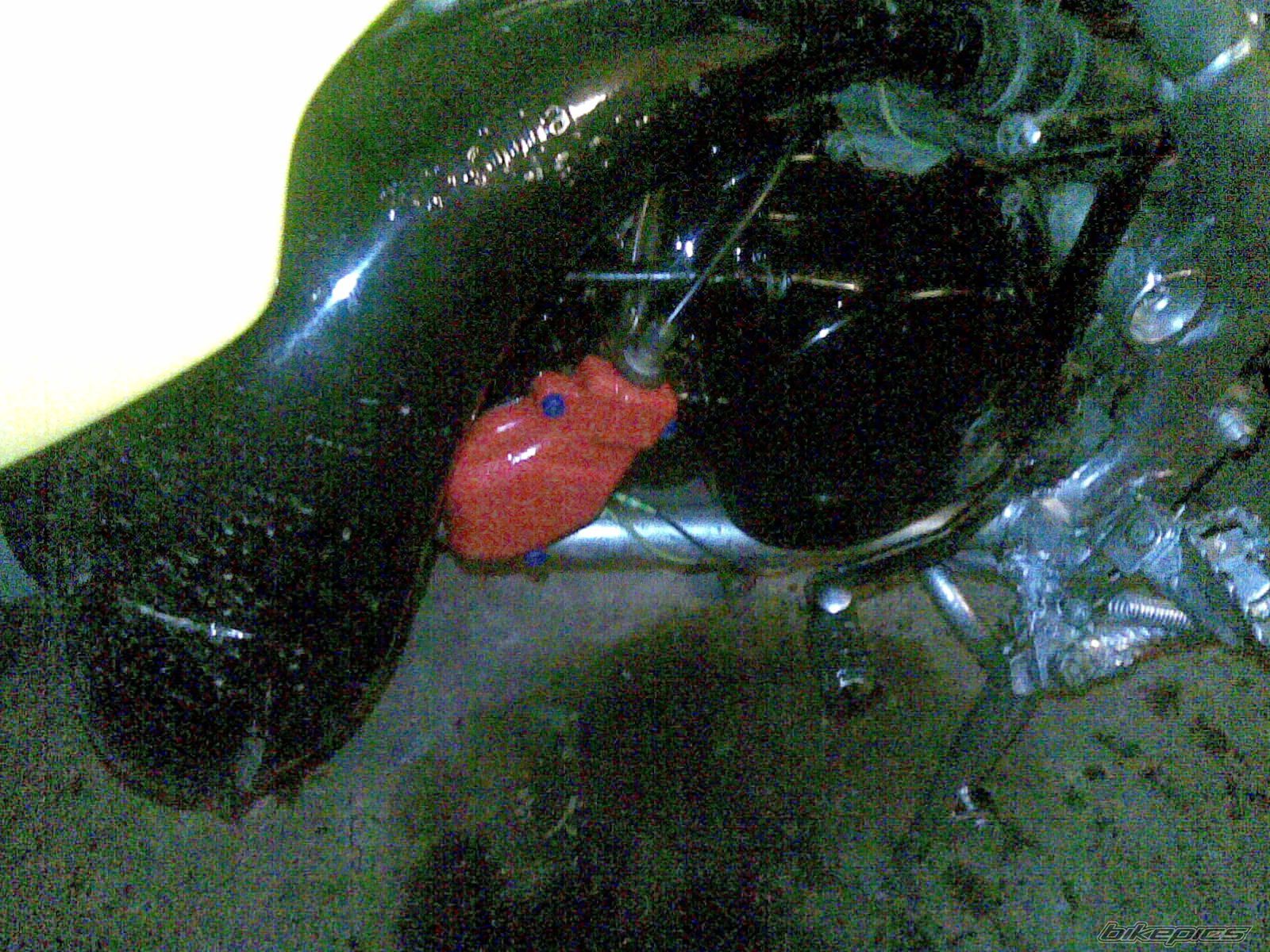 Photo 1513569