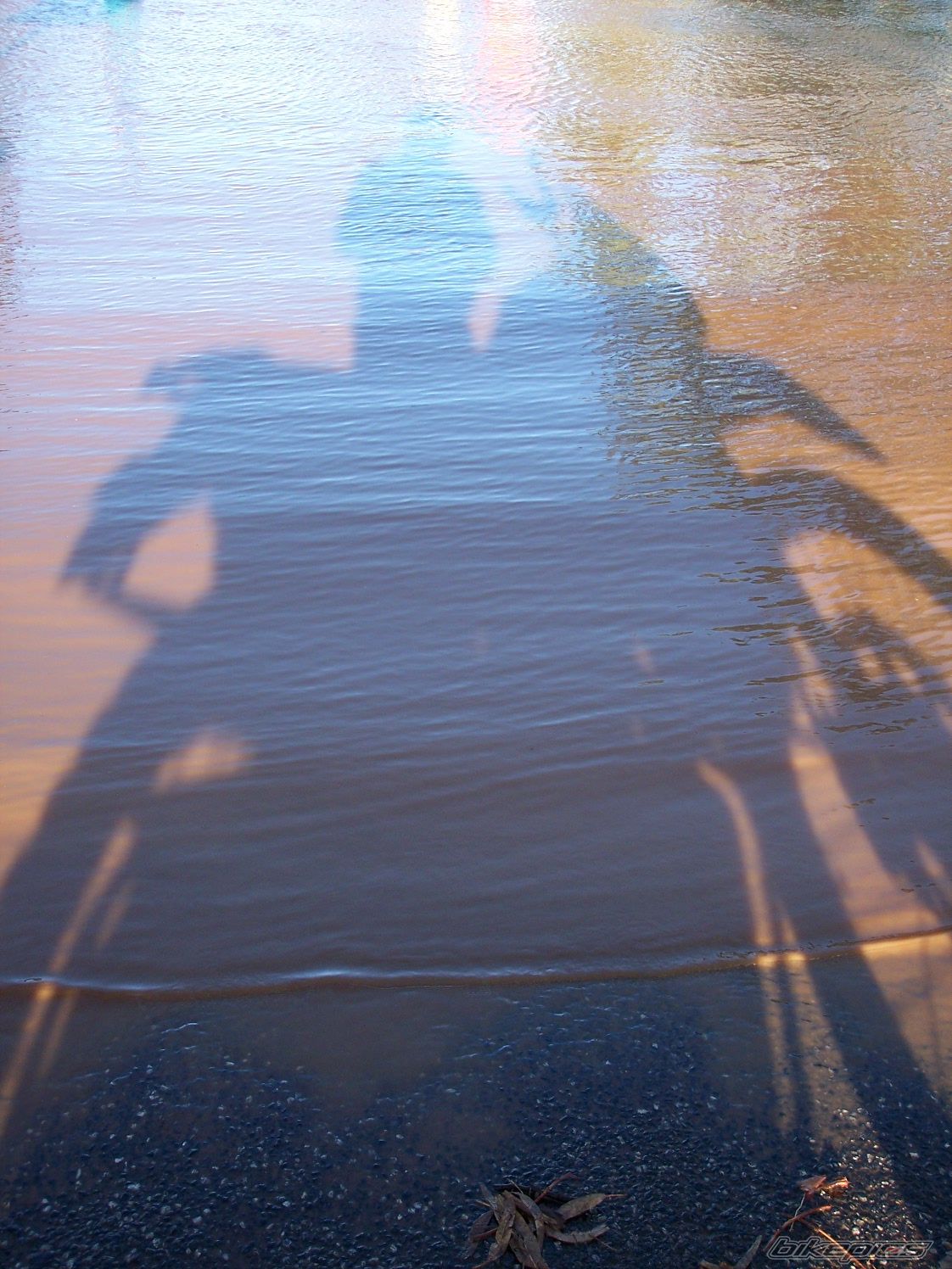 Photo 1513813