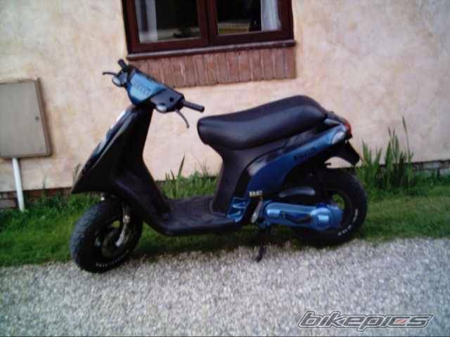 Photo 151424