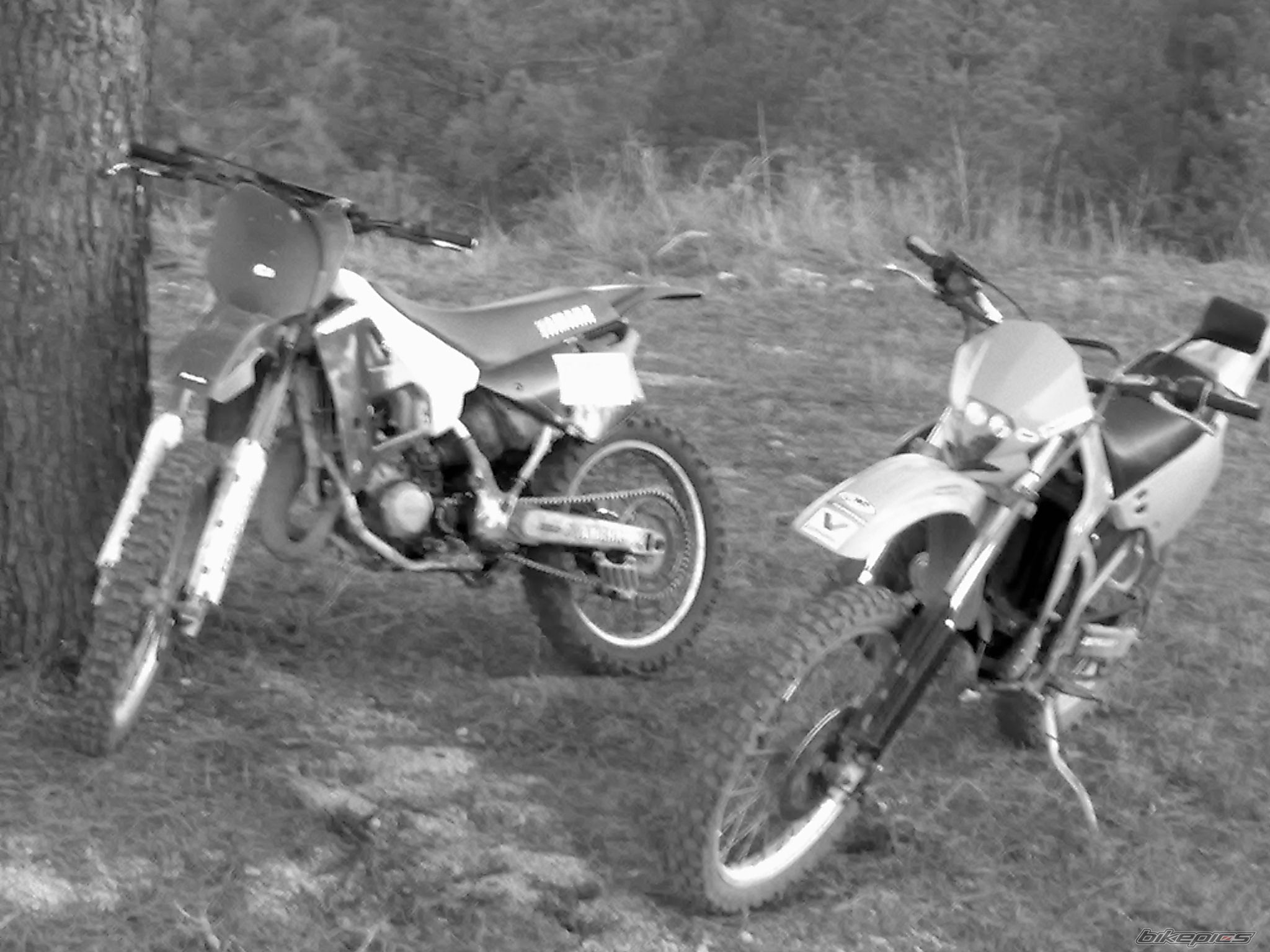 Photo 1514316