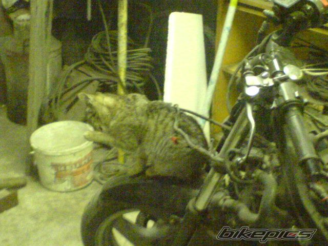Photo 1514383