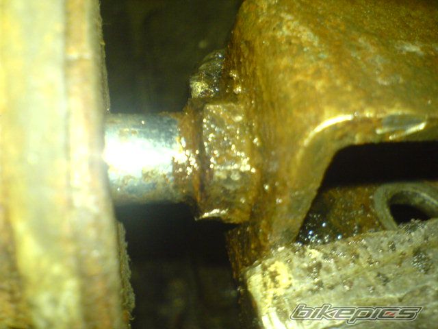 Photo 1514390