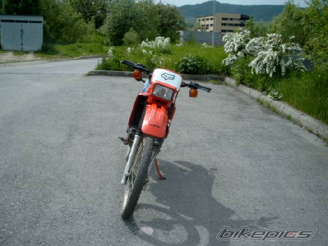 Photo 151461