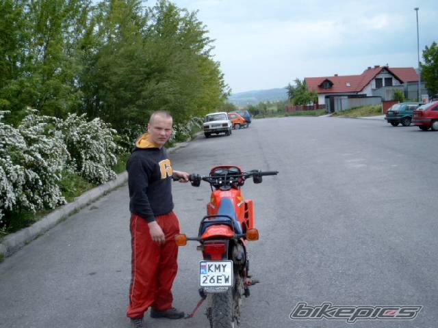 Photo 151465