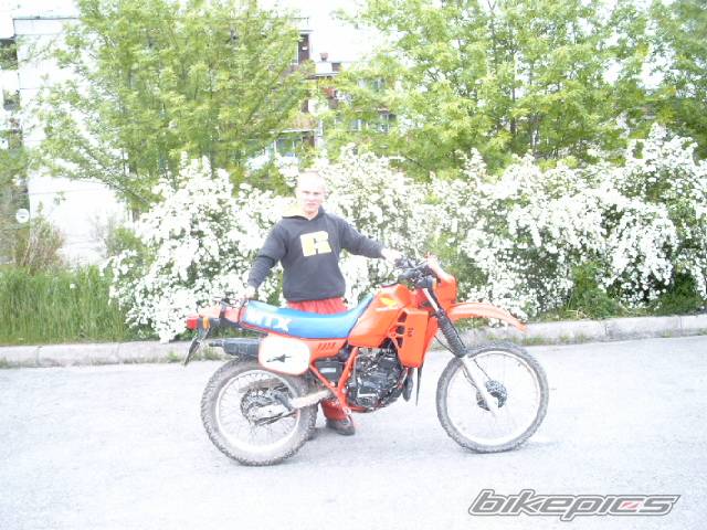 Photo 151467