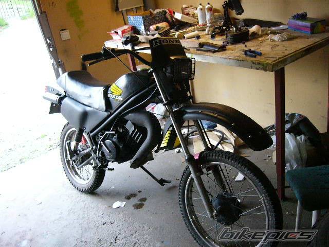 Photo 151476
