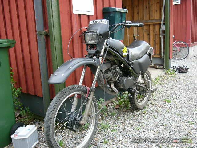 Photo 151485