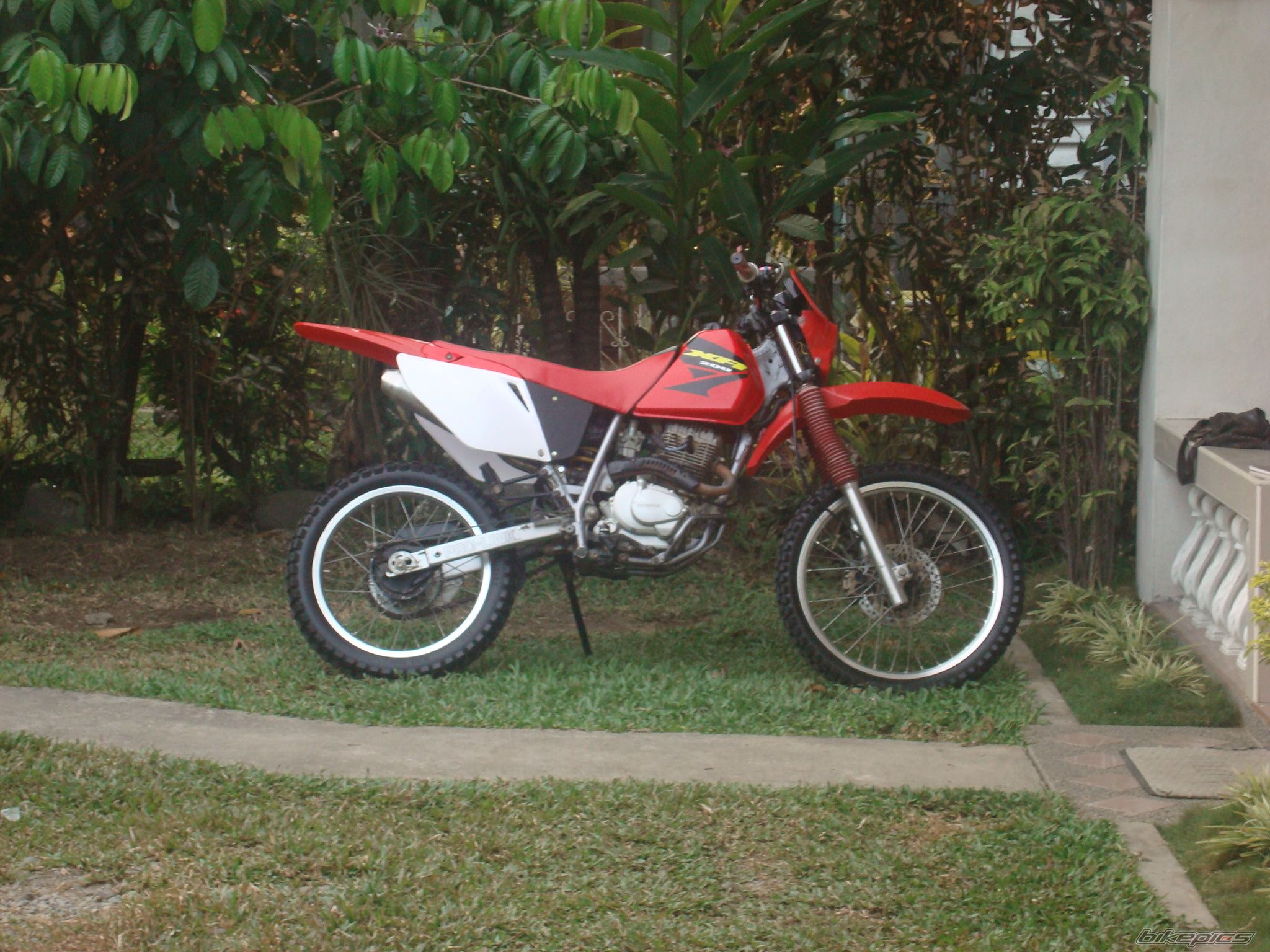 Photo 1515037