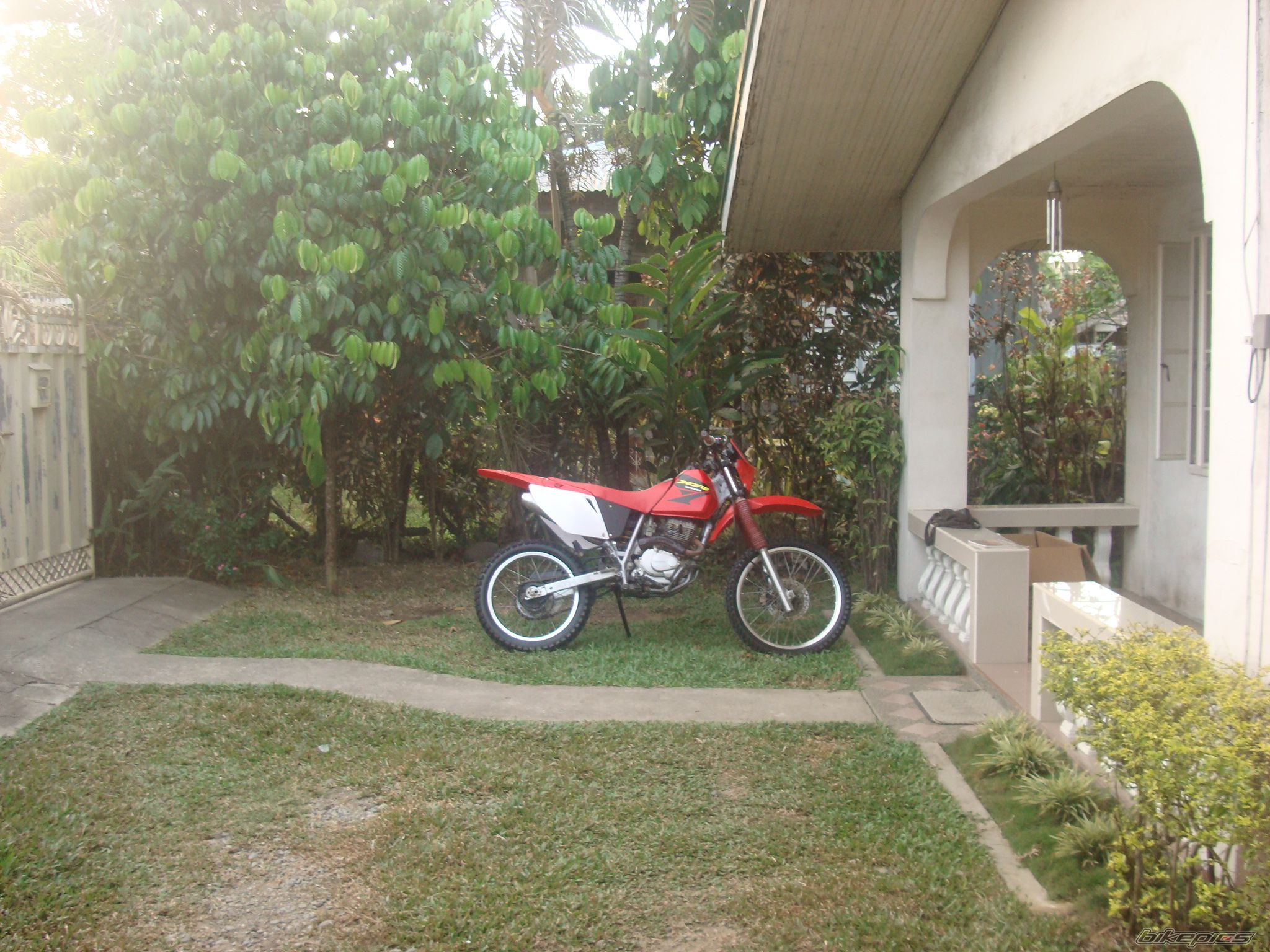 Photo 1515039